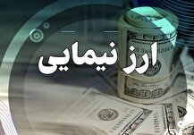 حذف سامانه نیما از امروز/ انجام ٨٠ درصد معاملات ارزی کشور در بازار ارز تجاری