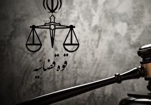 حکم پرونده قاچاق سازمان یافته لوازم خانگی بوش قطعی شد