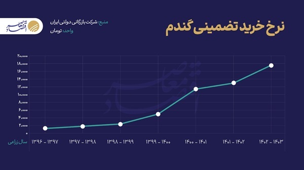 تولید گندم در آستانه خودکفایی/ رشد ۱۷ درصدی خرید