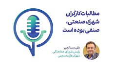 مطالبات کارگران شهرک صنعتی، صنفی بوده است