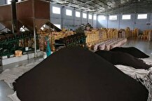 جزییات مزایده حضوری اموال منقول چای دبش در استان تهران و البرز