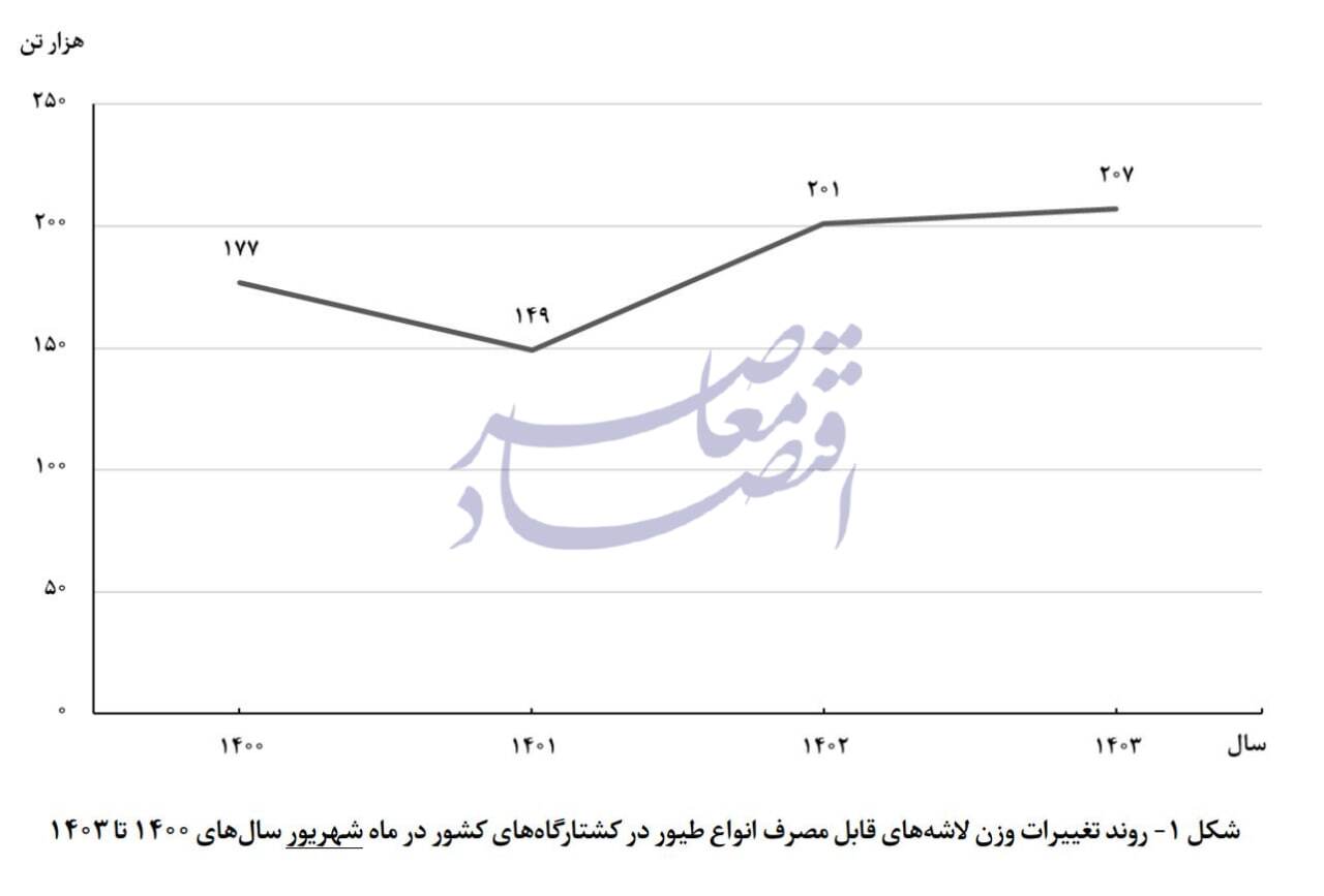 عرضه 207 هزار تن گوشت طیور به کشتارگاه‌ها کشور در شهریور