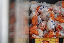 عرضه مرغ بالاتر از ۹۰ هزارتومان گرانفروشی است