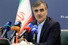 فرزین: تثبیت نرخ ارز سیاست ارزی بانک مرکزی شده است