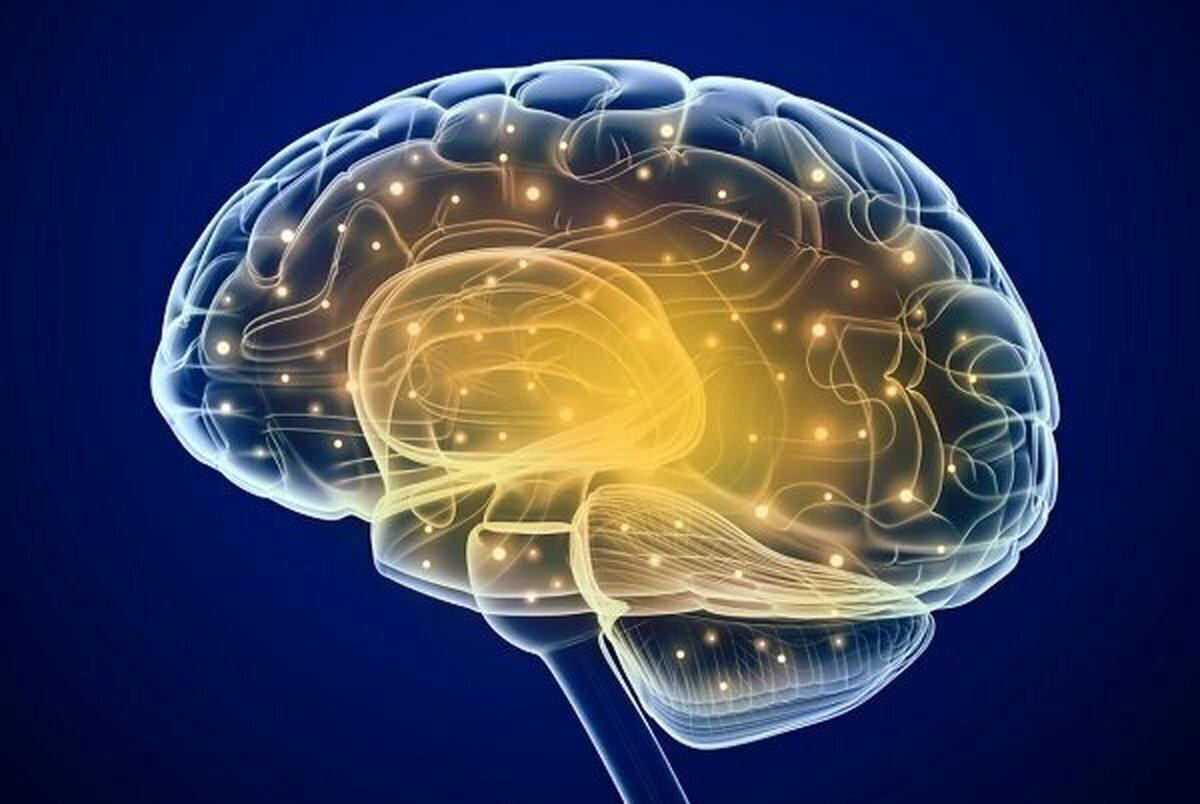 مغز از چه سنی پیر میشود؟