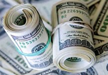 تامین ۲.۱ میلیارد دلار ارز برای واردات کالا و دارو در ۱۴۰۴