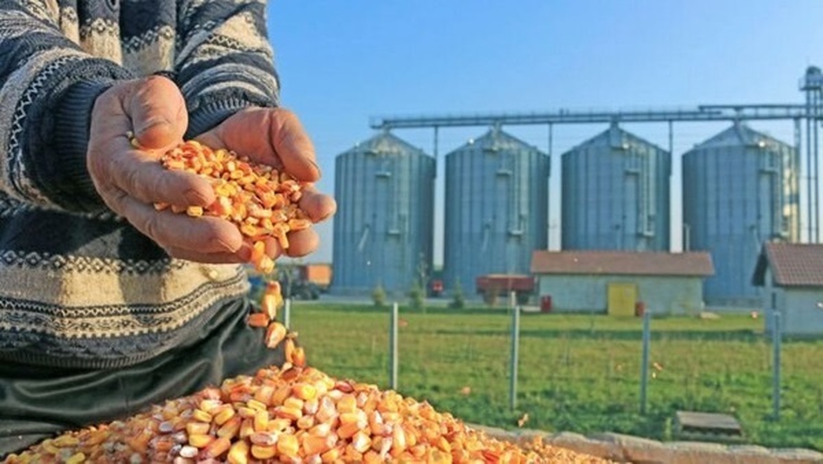 افزایش برخوردها با فساد «پشت‌فاکتوری‌» در سامانه بازارگاه