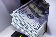 پرداخت یارانه به ابتدای زنجیره تامین به تورم ناخواسته و زیان مردم انجامید