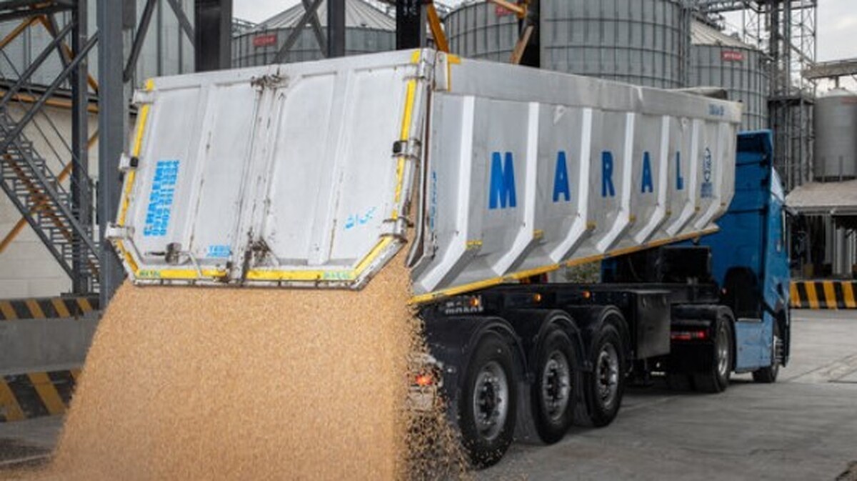 تخلیه و حمل یکسره گندم از کشتی با قطار پس از سال‌ها در بندر شهید رجایی