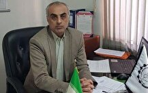 کاهش قیمت گوشت با اجرای سیاست‌های حمایتی