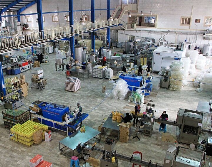 سهم ۵ درصدی تعاونی‌ها در اقتصاد ایران