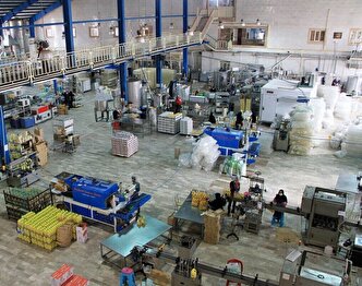 سهم ناچیز ۵ درصدی تعاونی‌ها در اقتصاد ایران