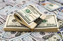 دولت زودتر مسئله ارز کالاهای اساسی را تعیین و تکلیف کند