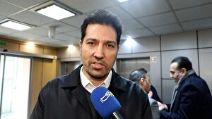 دولت زودتر مسئله ارز کالاهای اساسی را تعیین و تکلیف کند