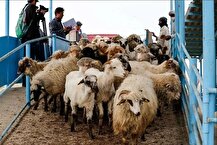 ۷۰ همت اعتبار تامین سرمایه در گردشِ تولید به بانک کشاورزی داده شد