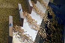 ترامپ به دنبال فروش ۲۰ میلیون تن سویای آمریکایی به چین