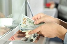 معامله ۱۵۷.۵ میلیون دلار در بازار ارز تجاری