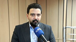 دولت به جای واردات مرغ، ارز نهاده را تامین کند