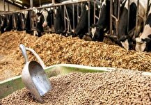 اعلام نرخ ارشادی نهاده‌های دامی بالاتر از بازار