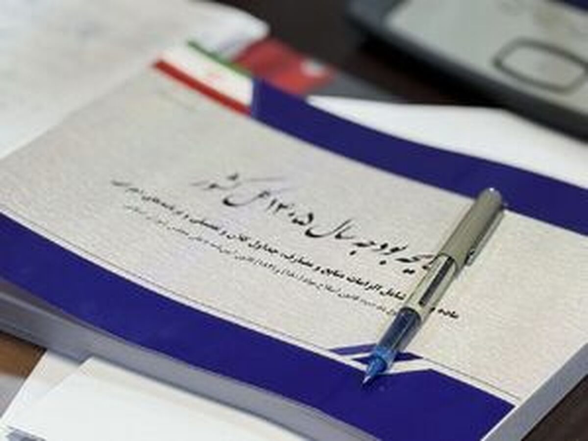 کمیسیون تلفیق بودجه ۱۴۰۵: حمایت از اصناف و کاهش قیمت شیرخشک اطفال