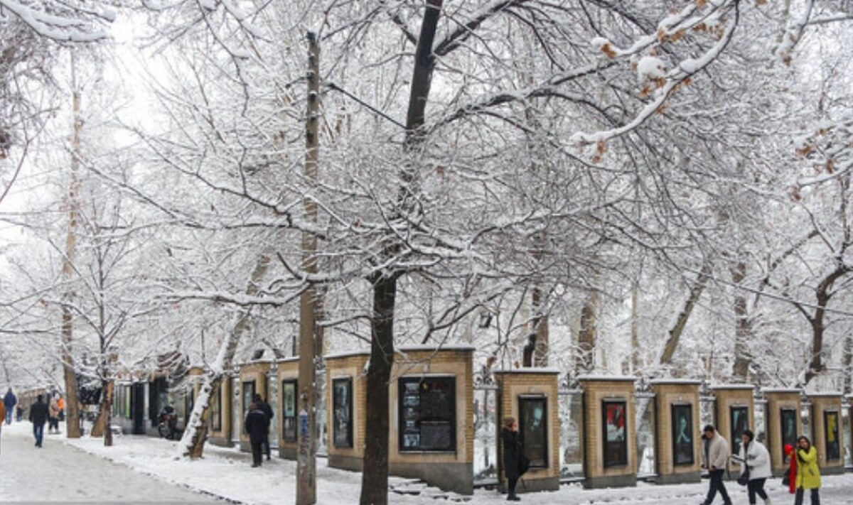 بارش برف و باران در تهران/ کاهش دما تا ۱۱ درجه