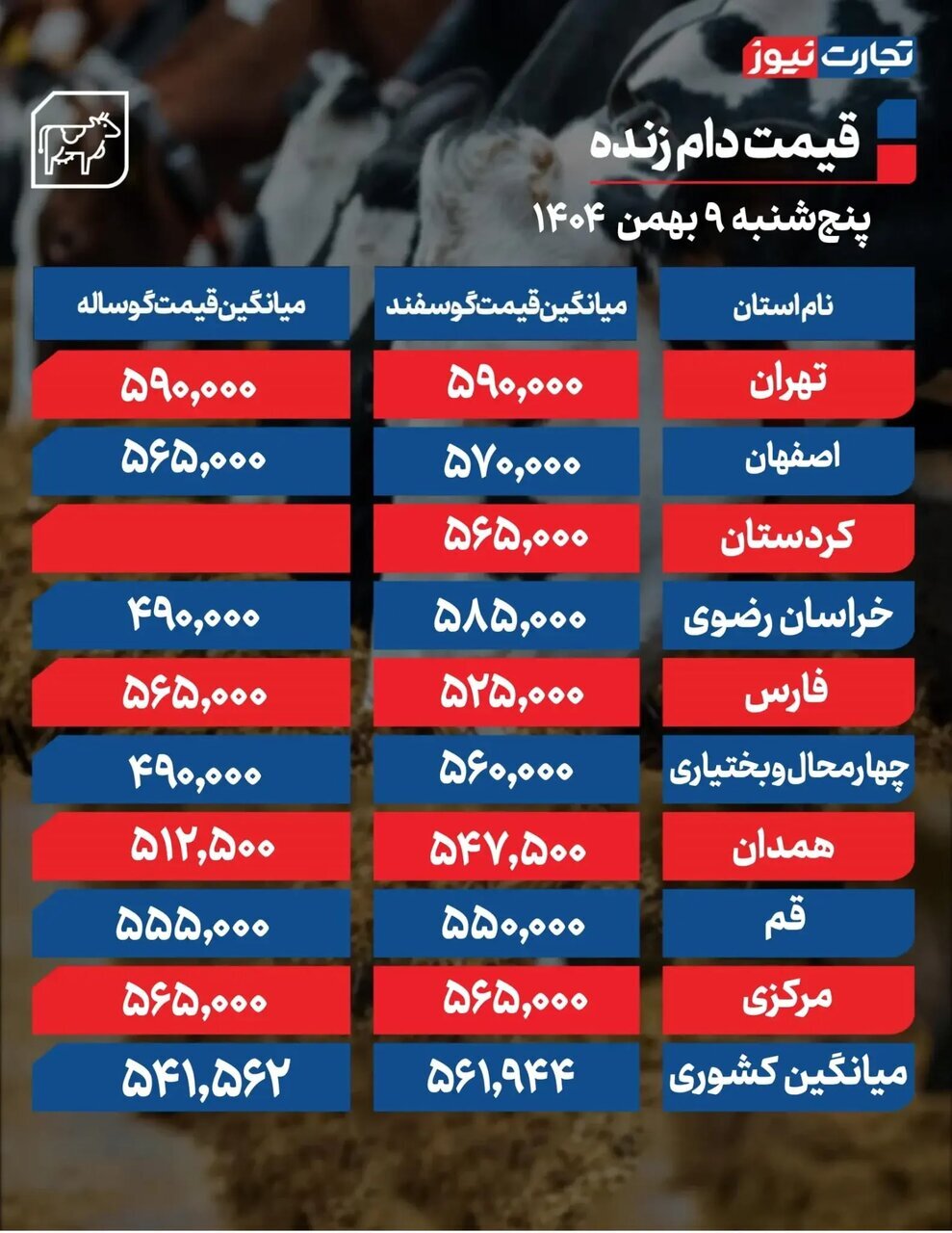 قیمت جدید دام زنده امروز ۹ بهمن ۱۴۰۴+ جدول قیمت جدید دام زنده امروز ۹ بهمن ۱۴۰۴+ جدول