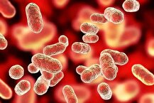 سن ابتلا به کدام سرطان‌ها در ایران در حال کاهش است