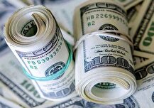 تامین ارز ۱,۷ میلیارد دلاری برای واردات صنایع