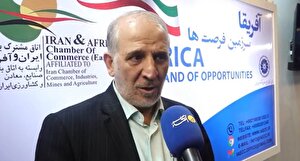 ظرفیت‌های اقتصادی آفریقا را نمی‌دانیم