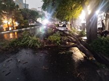 هشدار جدی طوفان در تهران