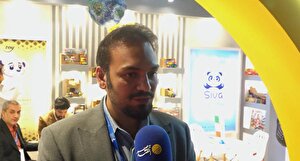 اسباب‌بازی ایرانی مورد اقبال ارمنستان و روسیه؛ واردات بی‌رویه داریم