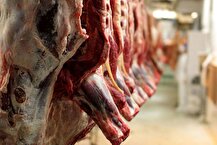 قیمت انواع گوشت قرمز امروز ۱۷ اردیبهشت ۱۴۰۴
