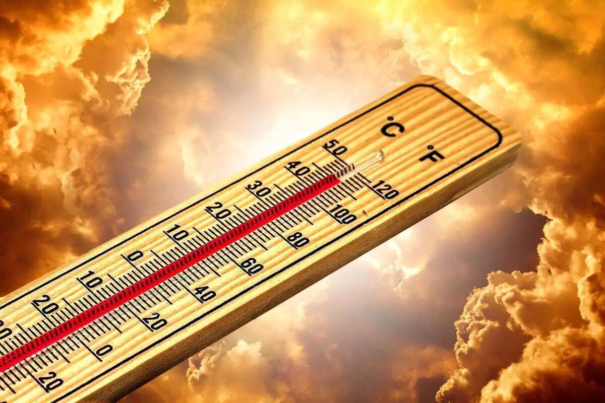 هوای تهران گرمتر میشود