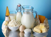 صادرات لبنیات افزایش یافت