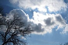 رگبار و رعد و برق در ۷ استان