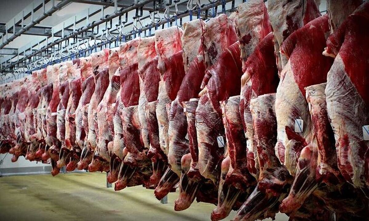 سیستم نظارتی بر توزیع گوشتهای وارداتی، کارایی لازم را نداشت