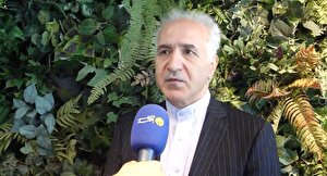 آغاز برنامه‌ریزی برای رفع ناترازی خوراک در صنعت پتروشیمی