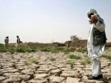 بحران کم‌آبی در کشاورزی؛ فاصله ۶۰ درصدی تخصیص آب با اهداف برنامه هفتم