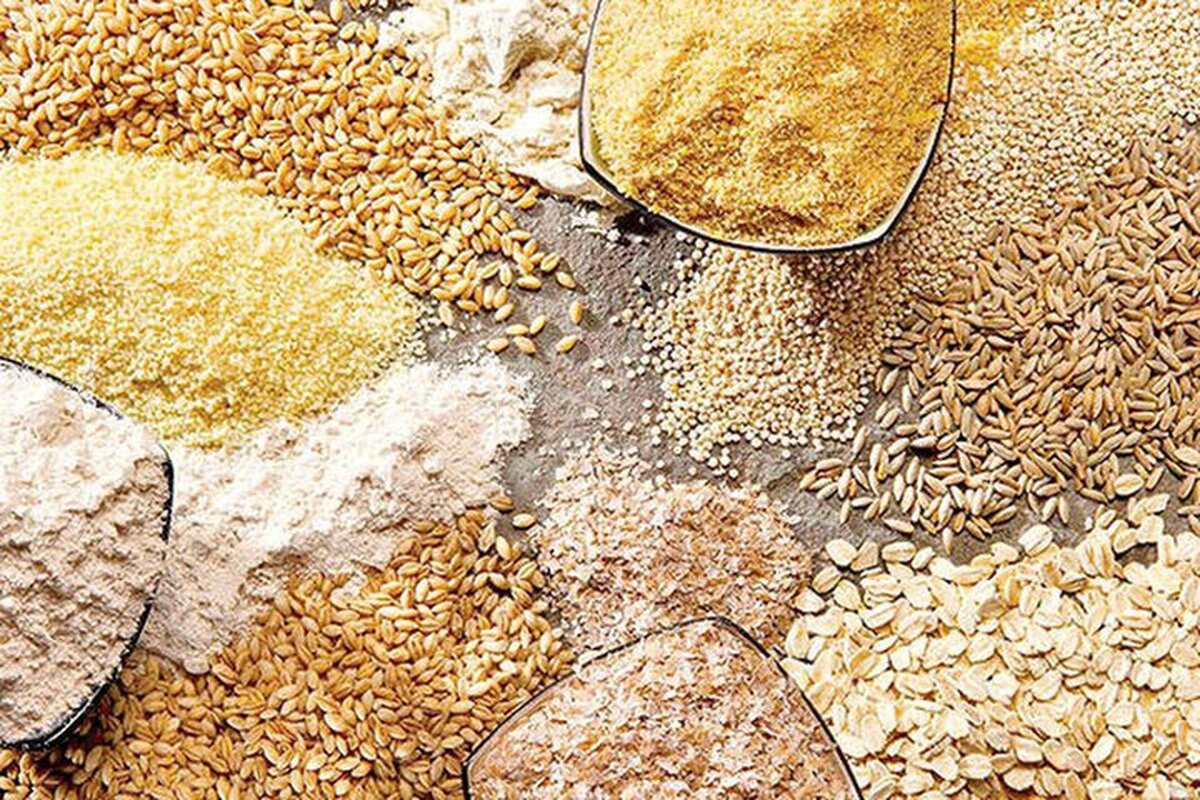 آقای رئیسجمهور! تأخیر پرداخت ارز نهادههای دامی ۹ ماهه شد