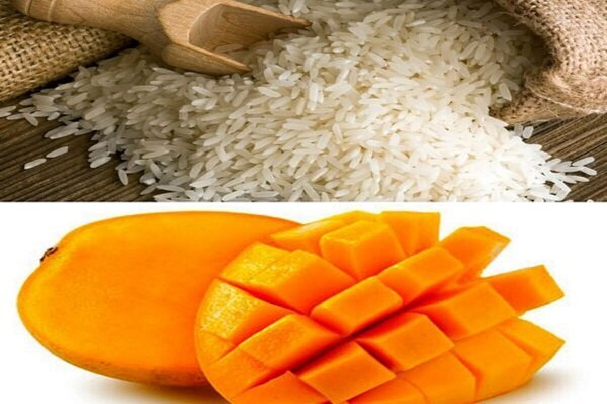 ثبتسفارش «برنج» و «انبه» آغاز شد