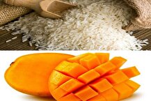 ثبت‌سفارش «برنج» و «انبه» آغاز شد