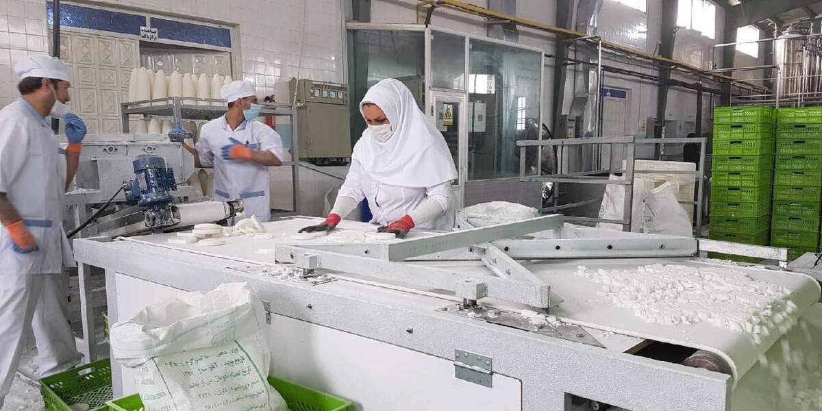 اصلاح الگوی کشت و کاهش واردات با تشویق سرمایه‌گذاری در کارخانه‌های قند