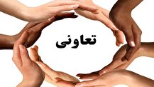 انجام ۴۵ درصد از فعالیت های کشاورزی از طریق تعاونی ها