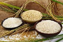 حذف واردات برنج‌های با کیفیت برای صرفه‌جویی ارزی
