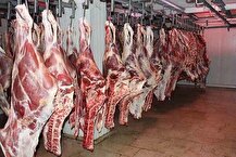 حذف ارز ترجیحی گوشت قرمز امروز در ستاد تنظیم بازار تعیین‌تکلیف می‌شود