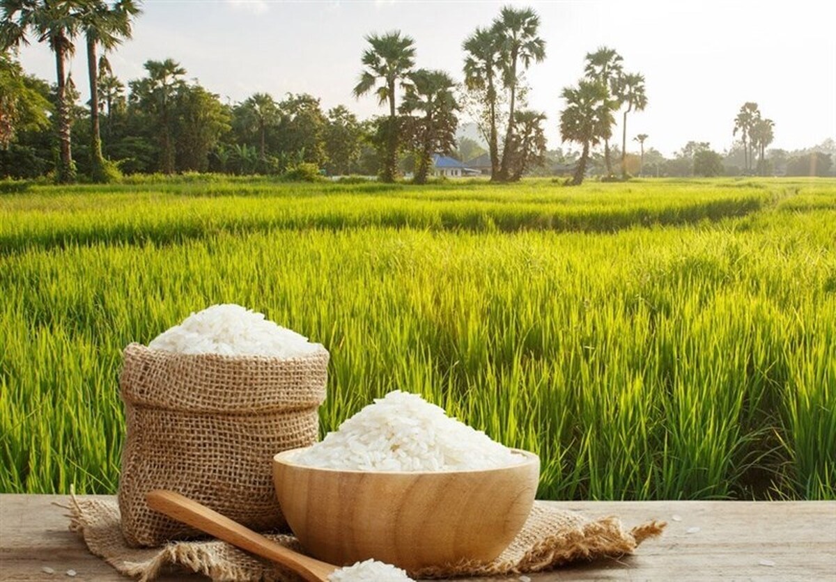 پیششرط خودکفایی در تولیدات کشاورزی؛ ملاحظات زیستمحیطی مغفول نماند