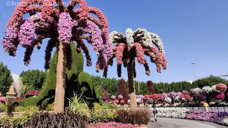 شبیه سازی بهشت دبی + عکس و فیلم