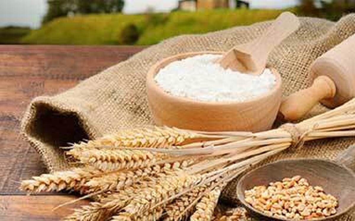 تولیدکنندگان آرد، سبوس گندم را در بازار آزاد عرضه میکنند