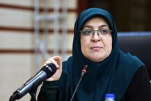 جزئیات ۷ برنامه اقتصادی دولت/ امیدواریم مجلس به وزیر پیشنهادی اقتصاد اعتماد کند