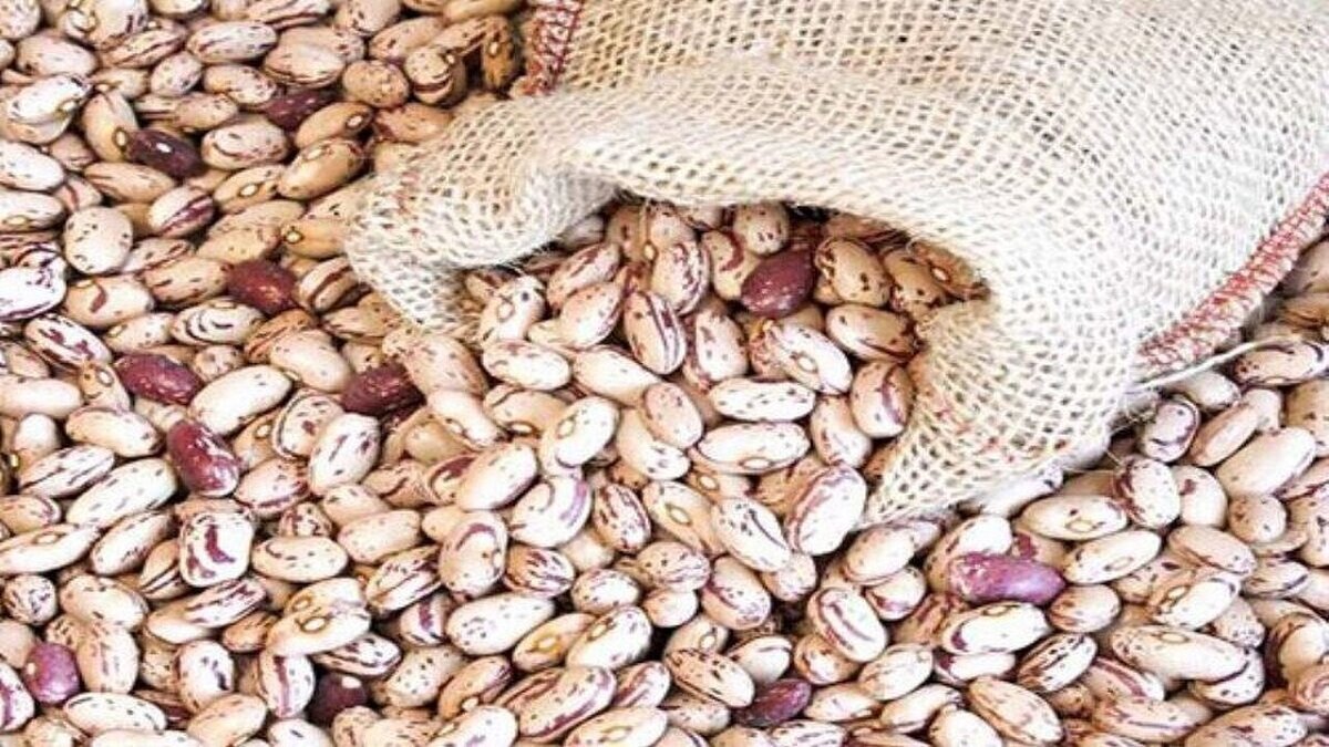 اختلاف قیمت ۲۰۰ هزار تومانی لوبیا چیتی در بازار و فروشگاه